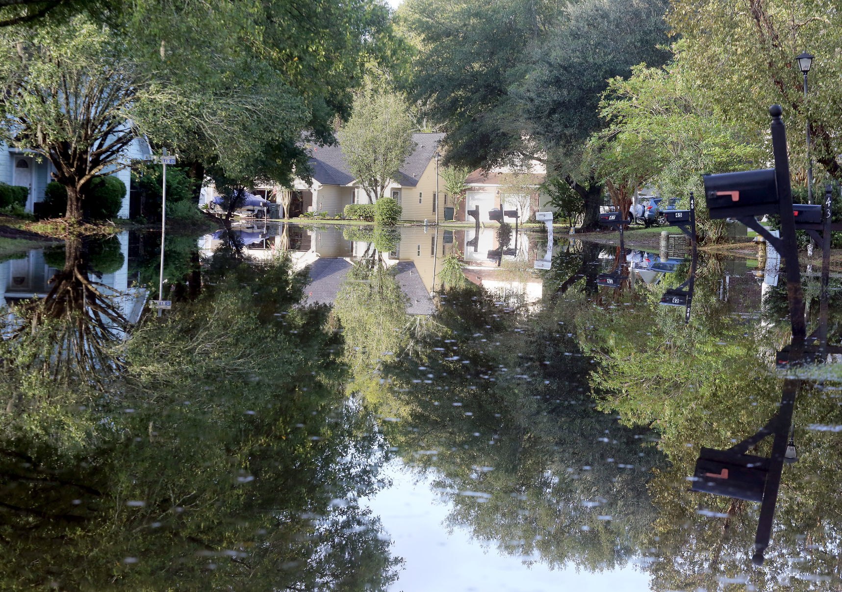 Tropical Storm Irma (copy) (copy)